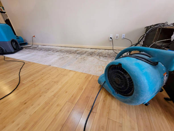 Professional Burst Pipe Water Damage technician working in Bloomsbury, NJ